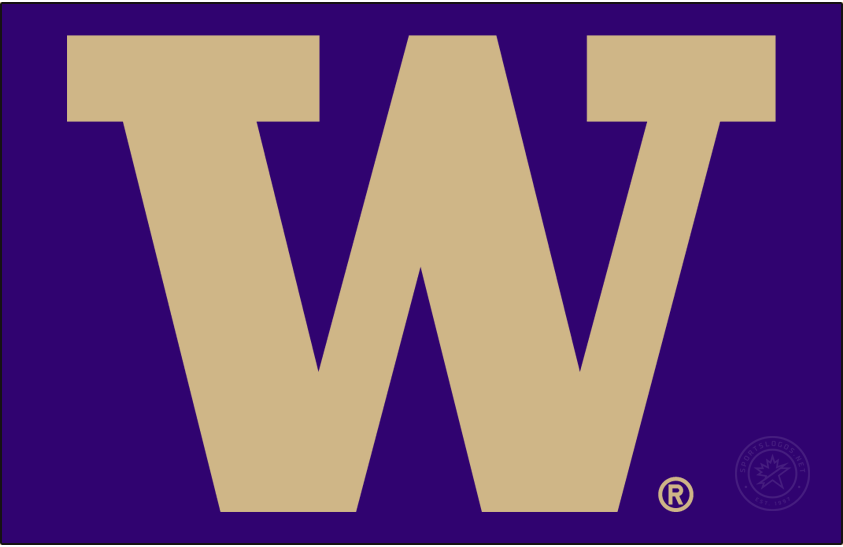 Washington Huskies 2016-Pres Alt on Dark Logo diy DTF decal sticker